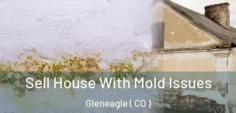  Sell House With Mold Issues Gleneagle ( CO )