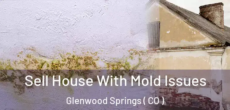  Sell House With Mold Issues Glenwood Springs ( CO )