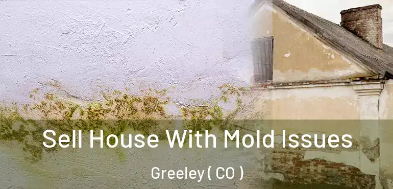  Sell House With Mold Issues Greeley ( CO )