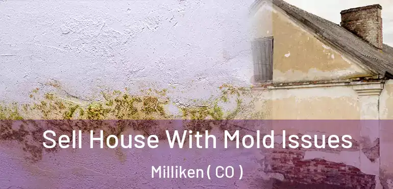  Sell House With Mold Issues Milliken ( CO )