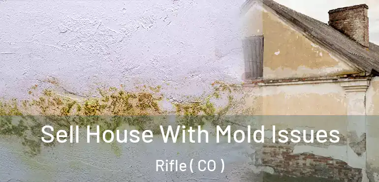  Sell House With Mold Issues Rifle ( CO )