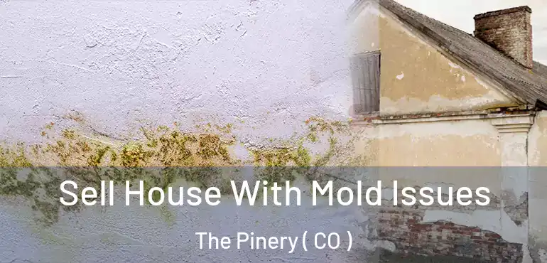  Sell House With Mold Issues The Pinery ( CO )