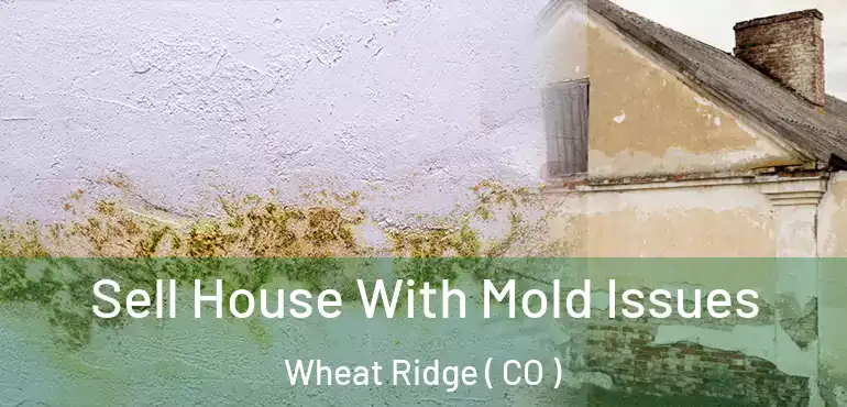  Sell House With Mold Issues Wheat Ridge ( CO )