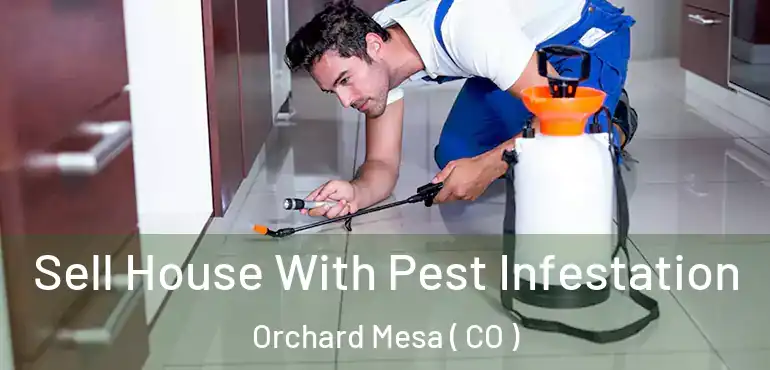  Sell House With Pest Infestation Orchard Mesa ( CO )