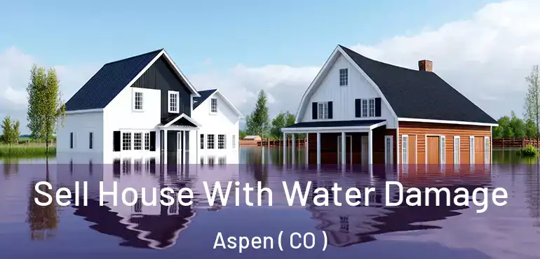  Sell House With Water Damage Aspen ( CO )
