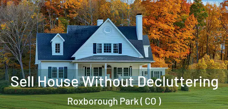  Sell House Without Decluttering Roxborough Park ( CO )