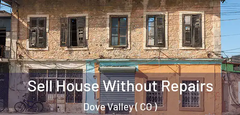  Sell House Without Repairs Dove Valley ( CO )