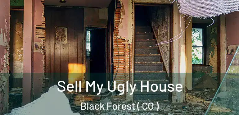  Sell My Ugly House Black Forest ( CO )