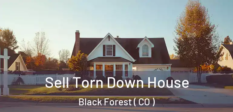  Sell Torn Down House Black Forest ( CO )