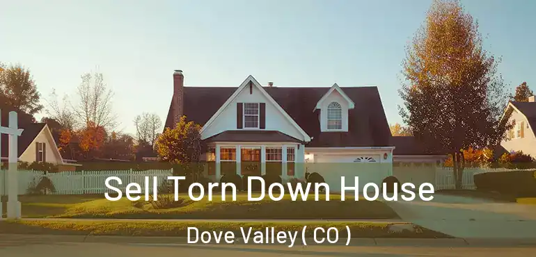  Sell Torn Down House Dove Valley ( CO )