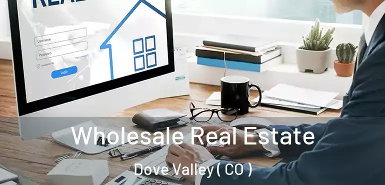  Wholesale Real Estate Dove Valley ( CO )