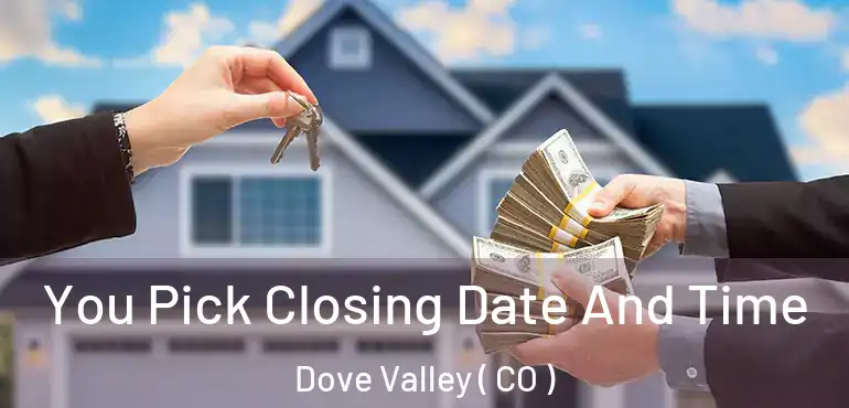  You Pick Closing Date And Time Dove Valley ( CO )